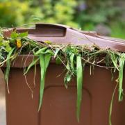 If you want to buy a garden waste permit, here's how to do it