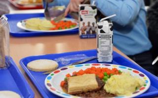 School meals stock pic