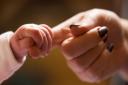 A total of 17 girls born to Renfrewshire parents were named Evie in 2022