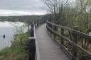'Absolutely thrilled': New boardwalk opens at RSPB nature reserve