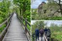 New boardwalk allows people to find 'hidden tower' at nature reserve
