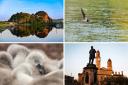 Have a look at some of the amazing pictures sent in to our Camera Clubs this week