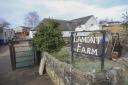 'No words': Farm project on brink of closure...