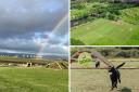 New enclosed play park for dogs set to open in Glasgow - everything you need to know