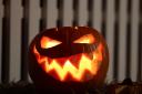 Halloween events to be held at nature reserve - here's what you need to know