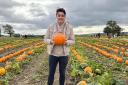 I went Pumpkin picking in Paisley and here's what I thought