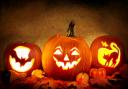 4 best Renfrewshire pumpkin patches this Halloween