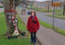 'Relieved': Councillor praises introduction of speed camera on busy road