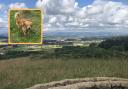 Here are the best dog walking routes near Paisley, according to experts on AllTrails