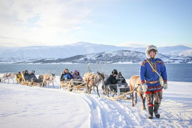 The Gazette: Reindeer Sledding Experience and Sami Culture Tour from Tromso - Tromso, Norway. Credit: TripAdvisor