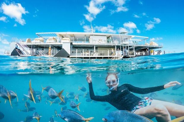 The Gazette: Two-Day Great Barrier Reef "Reefsleep" Experience - Airlie Beach, Australia Credit: TripAdvisor