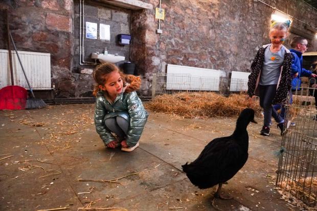 The Gazette: Children were delighted to wing their way over to Lamont Farm