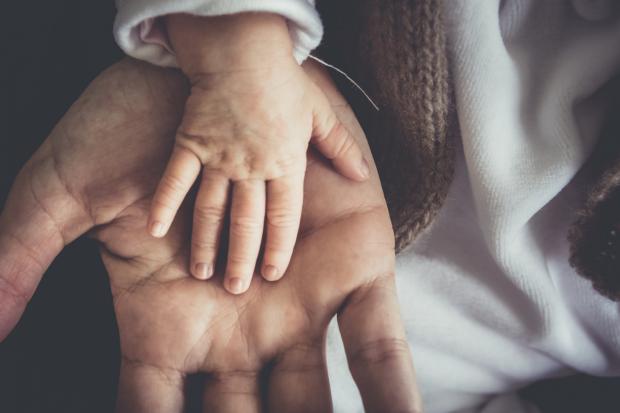 The Gazette: A Father and child's hand next to each other. Credit: Canva