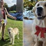 Jane McCrone and her four-legged friend Maple hope to impress the judges