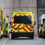 Boy, 10, in hospital after being hit by car outside school