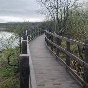 'Absolutely thrilled': New boardwalk opens at RSPB nature reserve