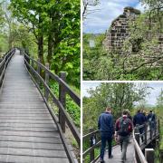 New boardwalk allows people to find 'hidden tower' at nature reserve