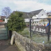 'No words': Farm project on brink of closure...