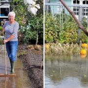 Renfrew allotments flooded with sewage for second time