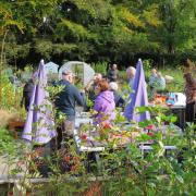 Volunteers work rain or shine to create beautiful and relaxing space for all to enjoy