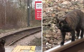 ScotRail 'renames' train station in honour of 'trespasser' spotted on the tracks