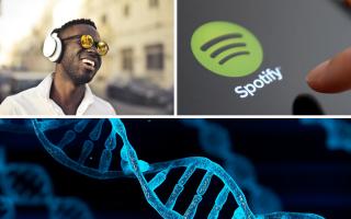 Spotify users are creating DNA charts - here's how you can too