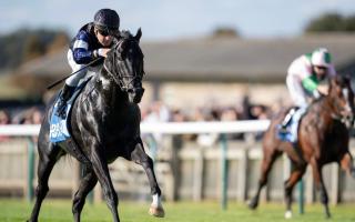 Race Night for Epilepsy Scotland to take place in Kilbarchan next month